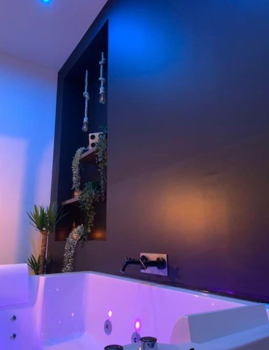 Appartement Spa - Nahleo Industriel Дол Екстериор снимка